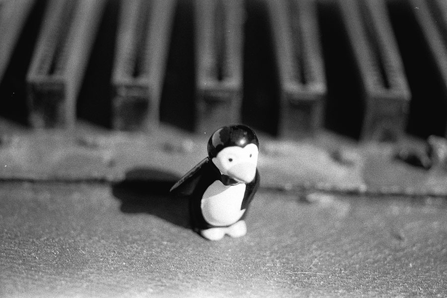 Donatella Tassone, "Pinguin, City21447"