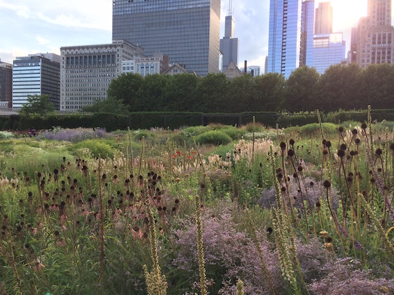 Lurie Garden