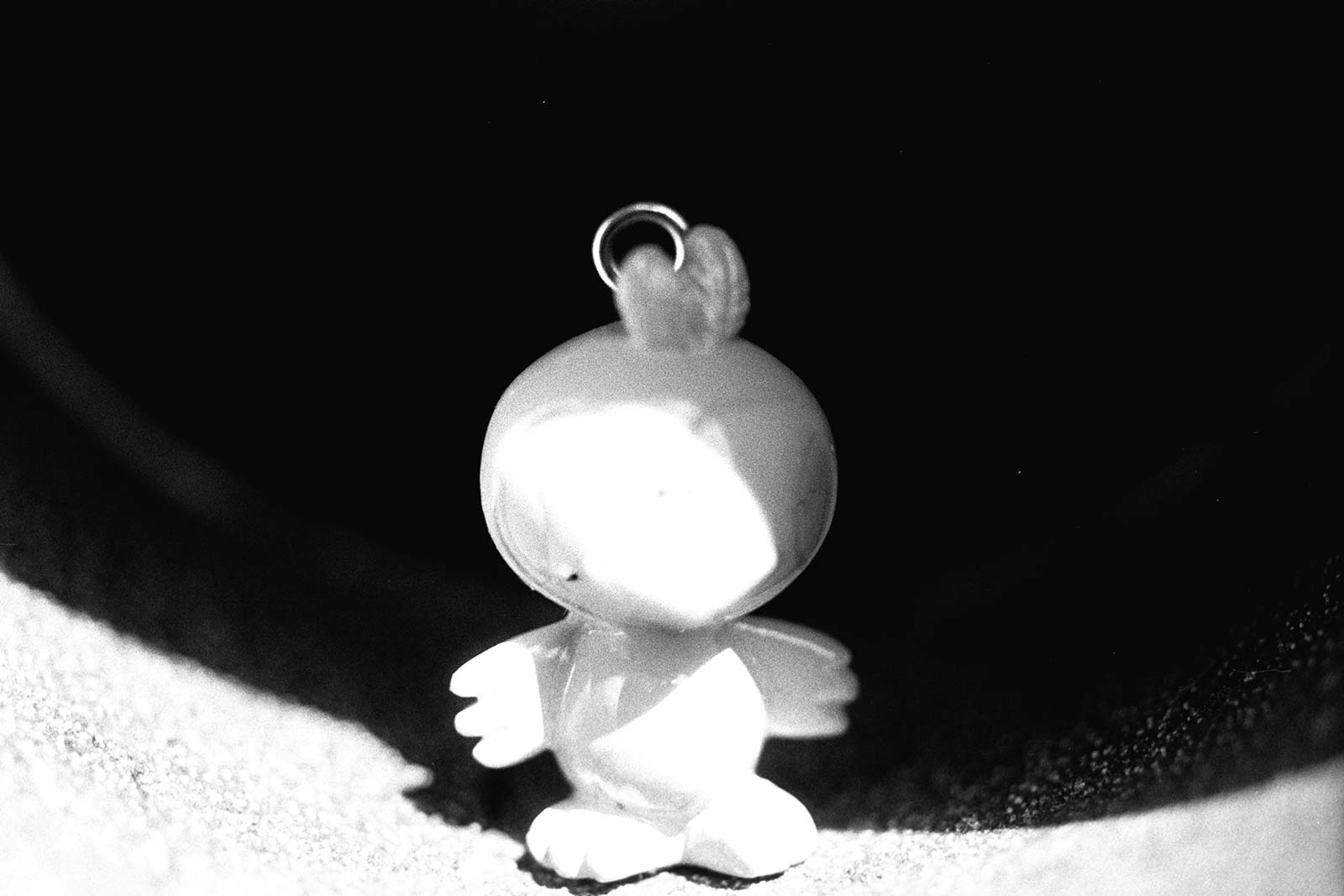 Dreams 17491 Bird paradise