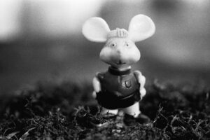 Dreams 25844 Topo Gigio cm 40 x 60