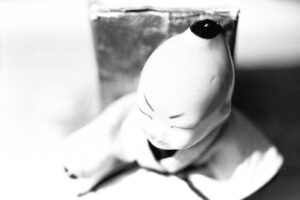 Dreams17539