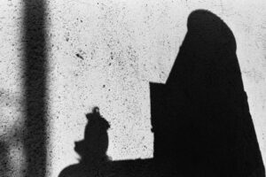 Track Paperino ombra 25857
