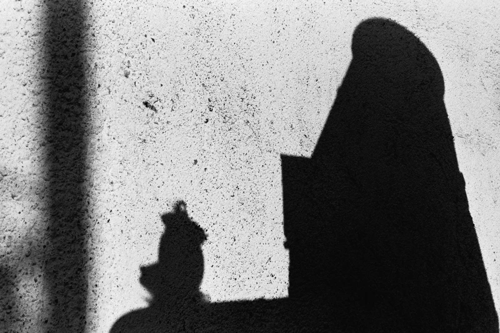 Track Paperino ombra 25857