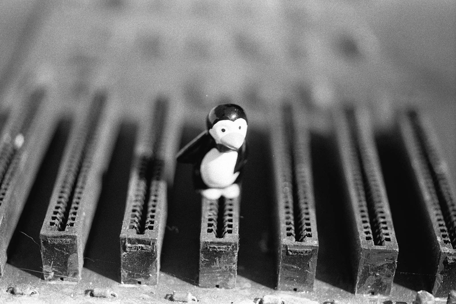 Tracks 21450 Pinguin city 1
