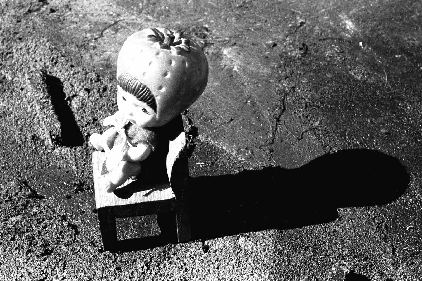 Tracks 45( il posto delle fragole) fto cm 90 x 30